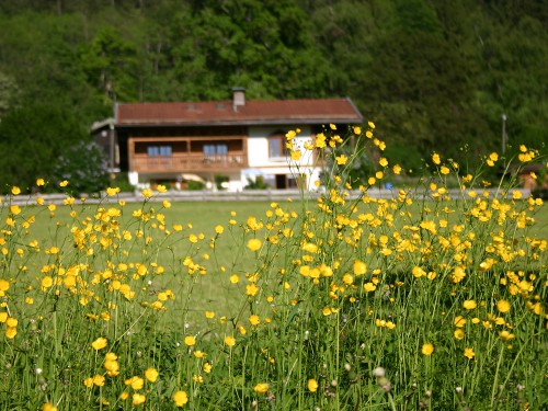 Blick von Westen