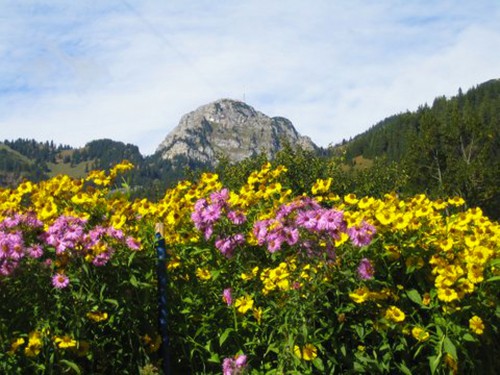 Blick zum Wendelstein